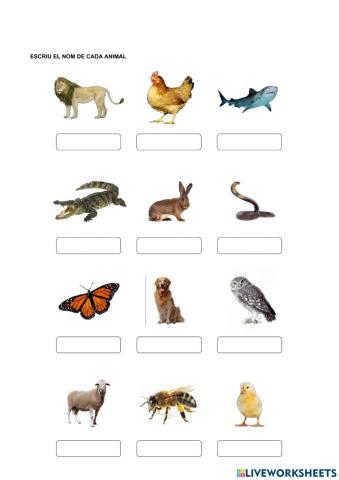 Nom dels animals