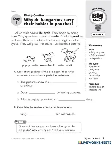 Daily Science Grade 3