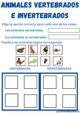 Animales vertebrados e invertebrados
