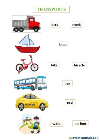 How do you go to school ?