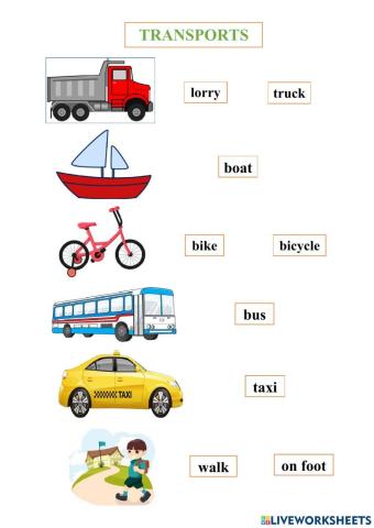 How do you go to school ?