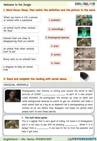 Ext Welcome to the Jungle