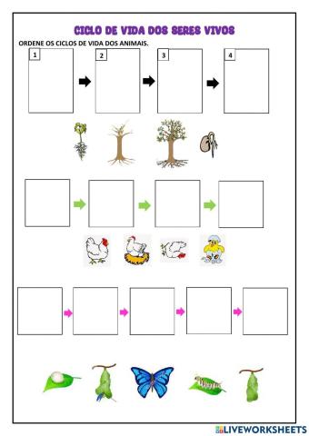 Ciclo de vida dos animais