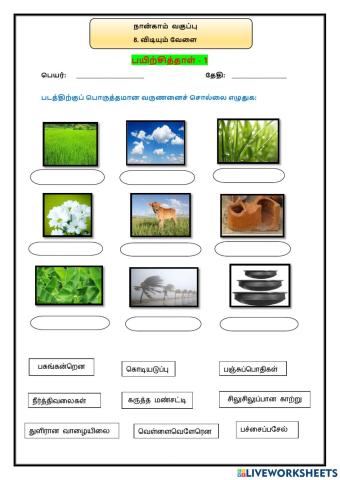 8. விடியும் வேளை -பயிற்சித்தாள் - 1
