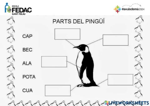 Parts del pingui