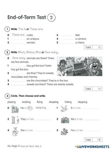Test end of term 3 (FH2)