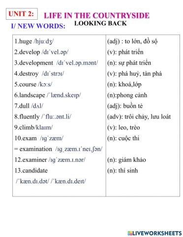 English 8- unit 2- looking back