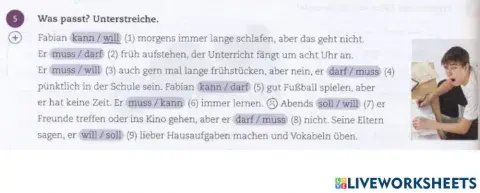 BF L24 AB5 Modalverben Wiedeholen