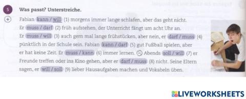 BF L24 AB5 Modalverben Wiedeholen