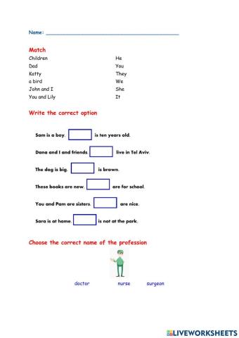 Quiz - professions - personal pronouns