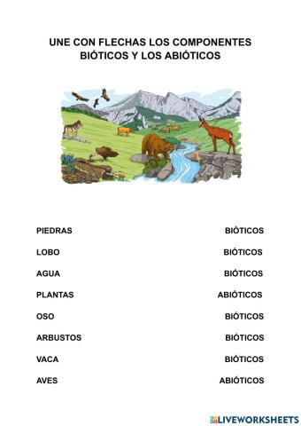 Clasificación de componentes bióticos y abióticos