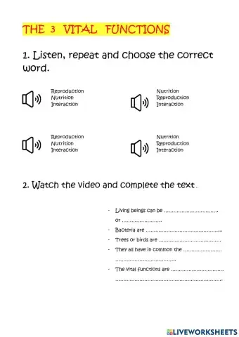 The 3 vital functions
