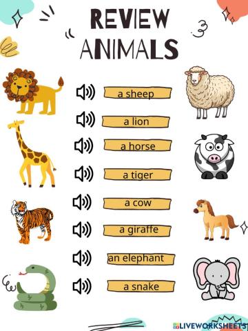 Lesson 24: review animals