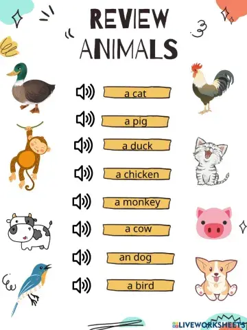 Lesson 21: review animals