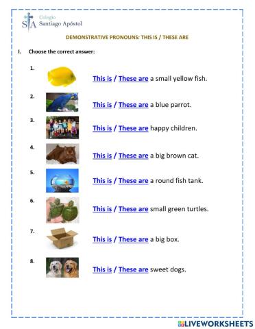 Interactive Worksheet N°3