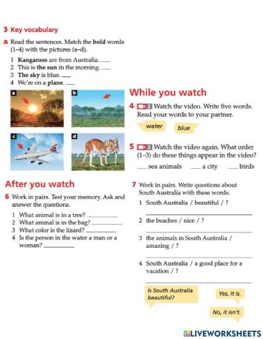 Video lesson unit 2