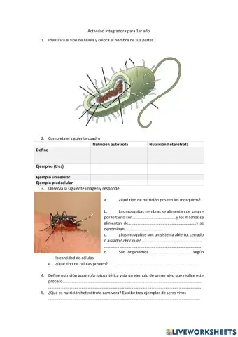 Nutricion de los seres vivos