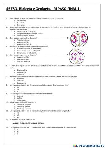 4ESO repaso final 1