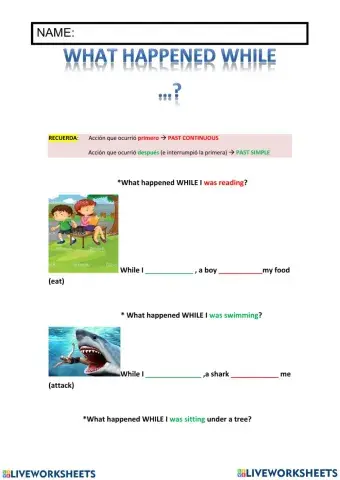 Past continuous & while