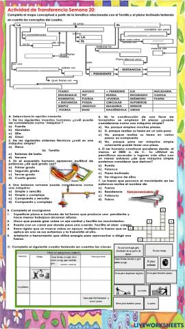 Actividad de Transferencia Semana 20: