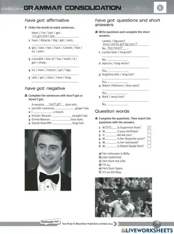 Have got affirmative and negative