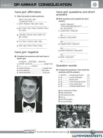 Have got affirmative and negative