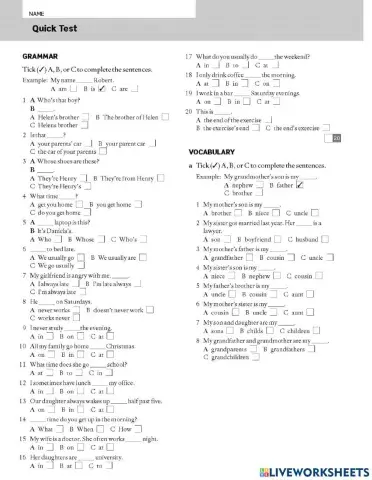 Quicktest Elementary 4