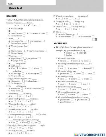 Quicktest Elementary 4