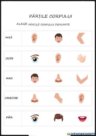 Părțile corpului