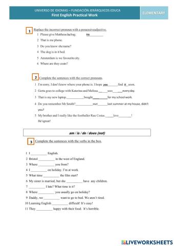 Practical Work - Elementary