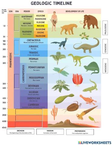 Geologic timeline scale