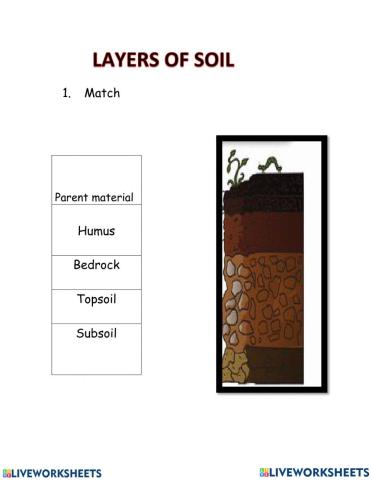 Soil