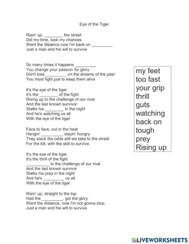 Eye of the Tiger Song