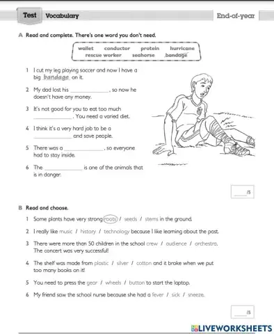 3º Vocabulary End -of-Year Test