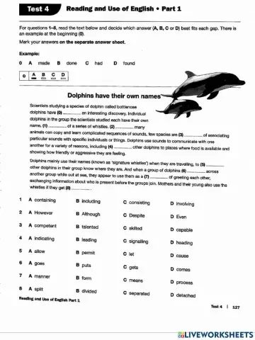 Fce fs 2e t4 use of english