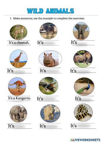 Wild animals