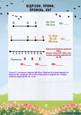 Відрізок. Пряма. Промінь. Кут