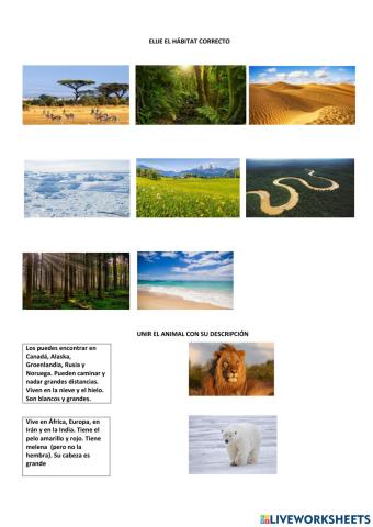 Hábitats y animales