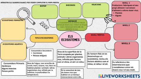 Els ecosistemes