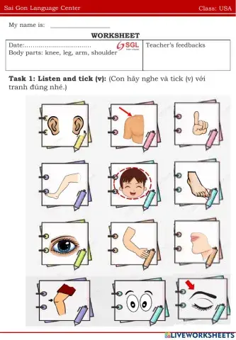 USA knee, arm, leg, shoulder