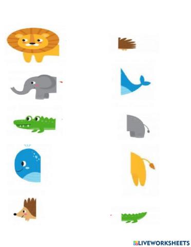 Unir con flechas segun corresponda cada dibujo