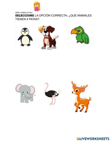 Seleccionar opción correcta