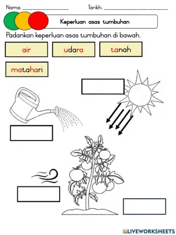 Keperluan Asas Tumbuhan