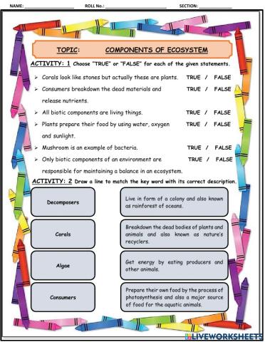Producers, consumers, decomposers