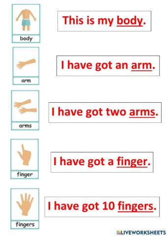 This is my body - lesson