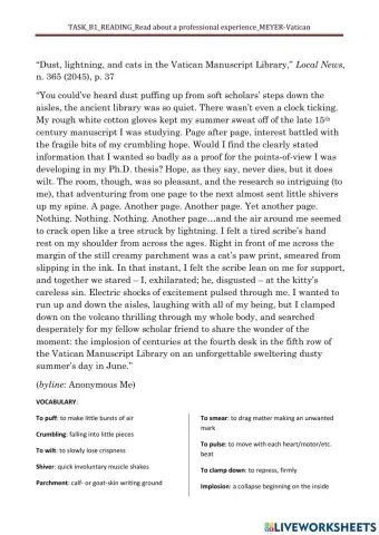 SMT-B1-READING-A professional experience-MEYER-Vatican