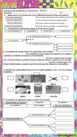 Actividad de Transferencia Semana 22