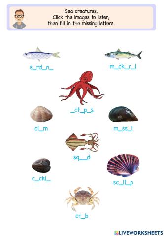 Sea creatures
