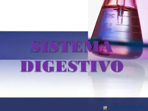 Sistema digestivo