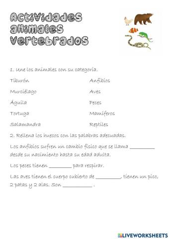 Animales vertebrados